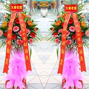 開業(yè)花籃A款（一對(duì)共2個(gè)）