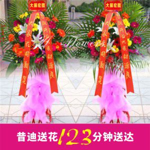 開業(yè)花籃B款（一對(duì)共2個(gè)）