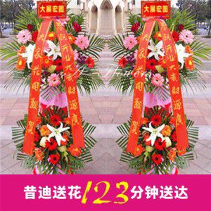 開業(yè)花籃C款（一對(duì)共2個(gè)）