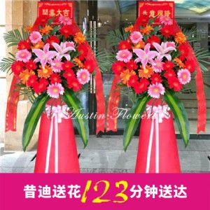開業(yè)花籃H9（一對(duì)共2個(gè)）